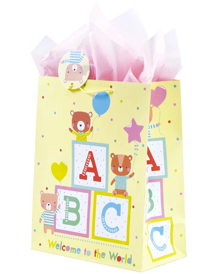 Large Gift Bag w/Tissue Paper