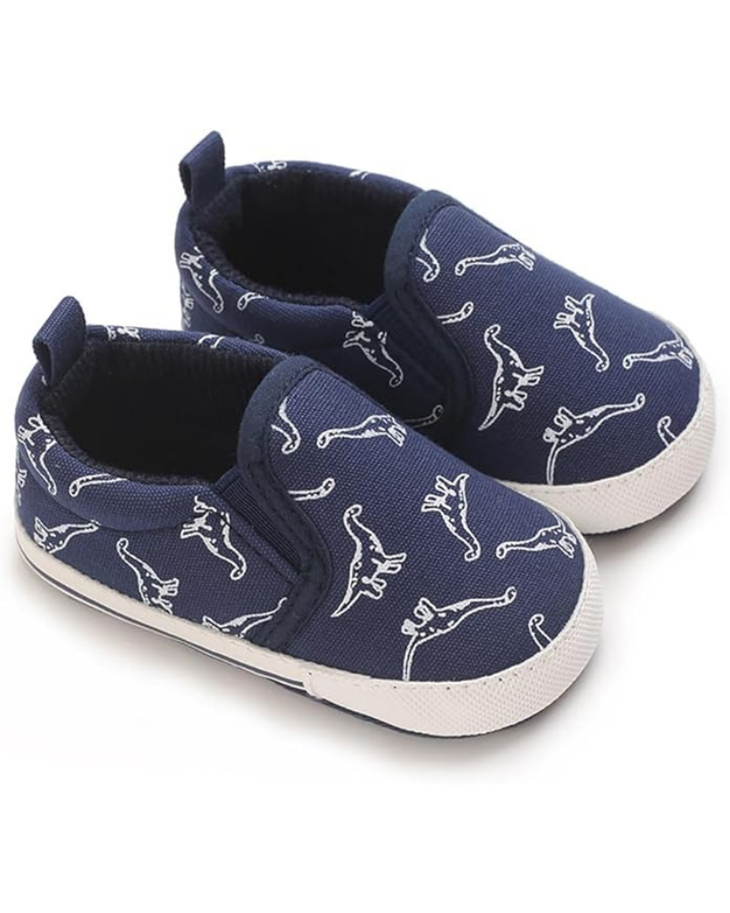 Canvas Shoes