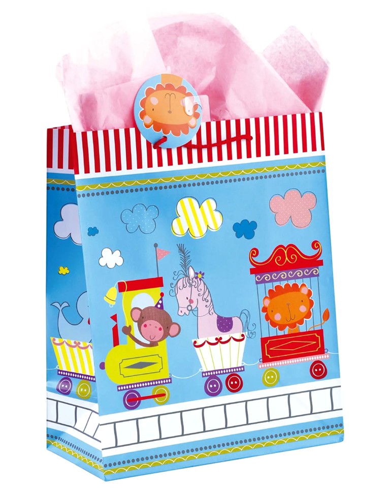 Large Gift Bag w/Tissue Paper